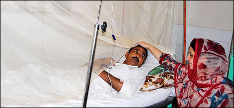 پنجاب میں ڈینگی بخار کے مریضوں کی تعداد 1800سے زائد ہو گئی