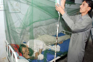 پنجاب : ڈینگی مریضوں کی تعداد میں اضافہ