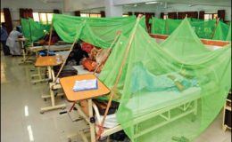 پنجاب : مزید 559 افراد میں ڈینگی وائرس کی تصدیق