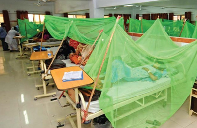 پنجاب : مزید 559 افراد میں ڈینگی وائرس کی تصدیق