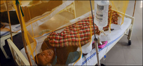 پنجاب میں ڈینگی سے ہلاکتیں تیس ہو گئیں، پانچ ہزار متاثر