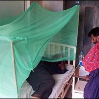 dengue pakistan