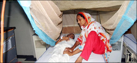 پنجاب میں ڈینگی سے ہلاک ہو نے والوں کی تعداد دس ہو گئی