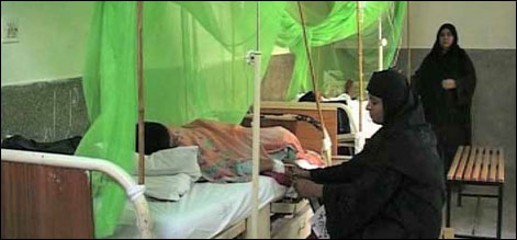 پنجاب میں ڈینگی کے مریضوں میں اضافہ،67 نئے مریض رجسٹرڈ