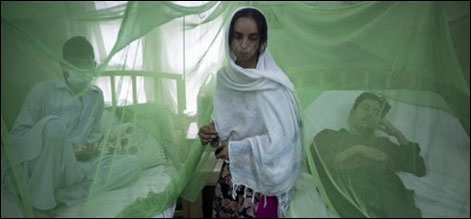 پنجاب: ڈینگی سے آج 9 مریض ہلاک،ہلاکتیں46ہوگئیں