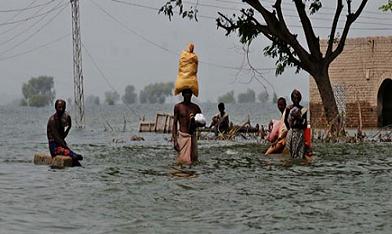 سندھ، بارشوں کی تباہ کاریاں جاری، سات لاشیں برآمد
