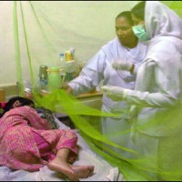 lahore dengue
