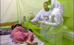 لاہور : ڈینگی وائرس، مزید تین افراد چل بسے