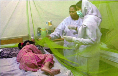 لاہور : ڈینگی وائرس، مزید تین افراد چل بسے