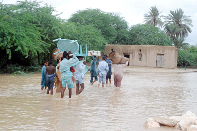 سندھ : شدید بارش، فصلیں تباہ، ہلاکتیں تئیس ہو گئیں
