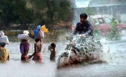 کراچی سمیت سندھ میں بارشوں نے تباہی مچا دی