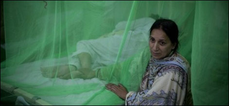 لاہور : ڈینگی سے مزید چار افراد جاں بحق ہوگئے