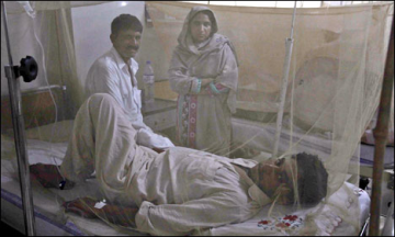 لاہور : ڈینگی، گیارہ افراد جاں بحق