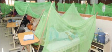 پنجاب میں ڈینگی بخار سے ہلاکتوں کی تعداد 163 تک جا پہنچی
