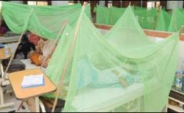 پنجاب: ڈینگی بخار سے جاں بحق ہونیوالوں کی تعداد 272 ہو گئی