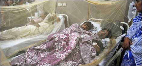 پنجاب: ڈینگی سے جاں بحق افراد کی تعداد 292ہو گئی