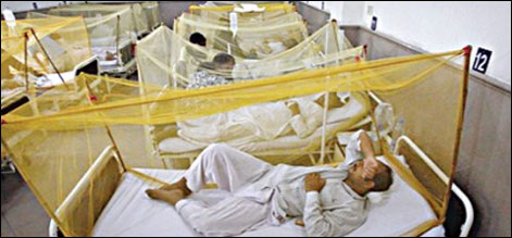 پنجاب میں ڈینگی بخار سے ہلاکتوں کی تعداد 322 ہو گئی