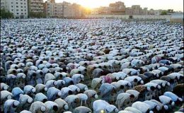 سعودی عرب سمیت خلیجی ممالک میں آج عید منائی جا رہی ہے
