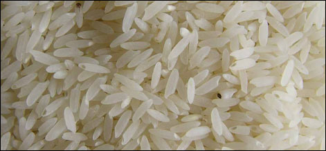 سندھ میں چاول کی فصل تیار ، فی من نرخ 450 کی کمی