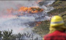 چلی:جنگلات میں آتشزدگی،100 گھر جل گئے، ایک شخص ہلاک