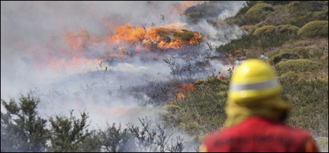 چلی:جنگلات میں آتشزدگی،100 گھر جل گئے، ایک شخص ہلاک