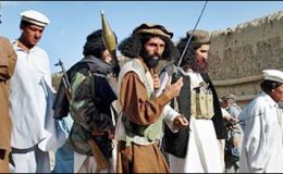 طالبان کی سیکورٹی فورسز پر حملے نہ کرنے کی یقین دہانی