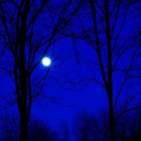 moonlight night