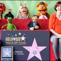 muppets star