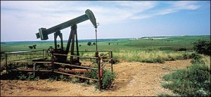 pakistan oil field