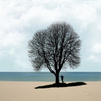man standing under tree