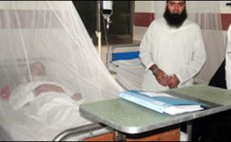 پشاور: لیڈی ریڈنگ اسپتال میں ڈینگی کا مریض جاں بحق