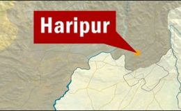 ہری پور: بس ویگن سے ٹکراگئی، 7 افراد جاں بحق، متعدد زخمی
