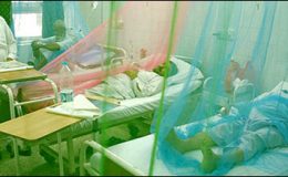 لاہور : ڈینگی وائرس میں مبتلا 2 نئے مریضوں کی تصدیق