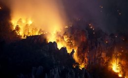 میکسیکو کے جنگلات میں لگنے والی آگ پر قابو نہیں پایا جاسکا