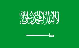 سعودی عرب نے مصری شہریوں کے ویزوں کا اجرا روک دیا