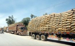 پنجاب، محکمہ خوراک نے 2 لاکھ میٹرک ٹن گندم خرید لی