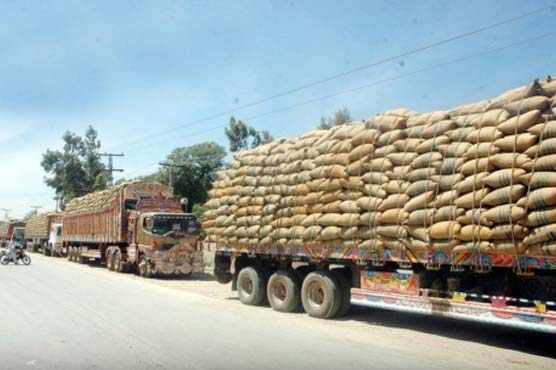 پنجاب، محکمہ خوراک نے 2 لاکھ میٹرک ٹن گندم خرید لی