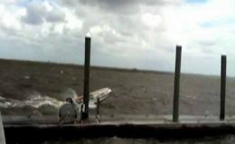 امریکہ : طوفان کا خدشہ، امریکی ساحلوں پرہائی الرٹ