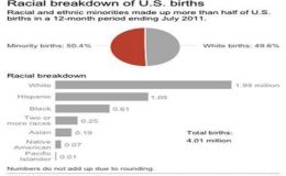 امریکہ : امریکی سفید فام اقلیت بننے کے قریب،سیاہ فام کی شرح ایک فیصد