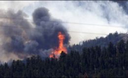 امریکا:کولاریڈو میں لگی آگ 52 ہزار ایکڑ رقبے پر پھیل گئی
