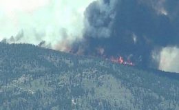 امریکی ریاست کولوراڈو کے جنگلات میں لگی آگ پر قابو نہ پایا جا سکا