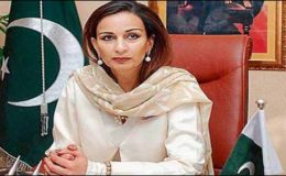 پاکستان سے متعلق امریکی وزیردفاع کا بیان غیر مفید ہے،شیری رحمان