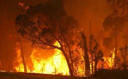 کیلیفورنیا: جنگلات میں آگ بجھانے کی کوششیں جاری
