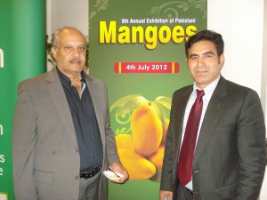 mango exhibition 