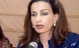سلالہ حملے پر پاکستان معافی کے مطالبے سے دستبردار نہیں ہوا، شیری رحمن