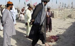افغانستان میں باغیوں کے حملے، تین نیٹو فوجی اور دو شہری ہلاک