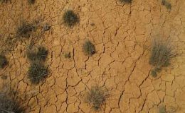 چلی : بدترین خشک سالی ، زرعی ایمرجنسی نافذ