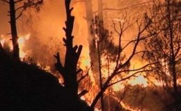 امریکا: جنگلوں کی آگ بے قابو ،100 گھر خالی کرنے کی ہدایت