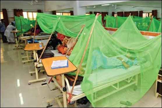 کراچی : مزید 3 افراد ڈینگی وائرس کا شکار