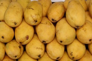 Mango export